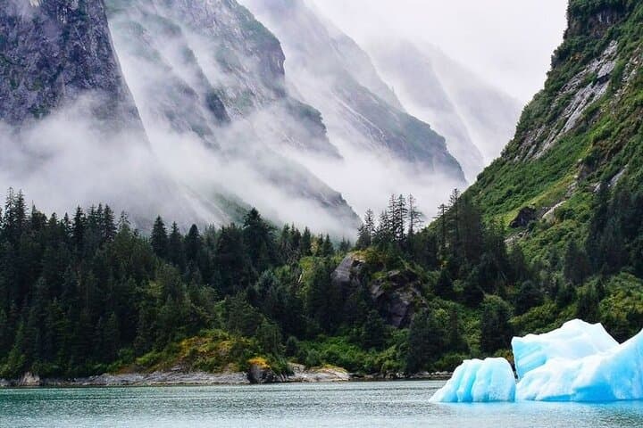 Tracy Arm Fjord Glacier Explorer: Day Cruise from Juneau photo 2