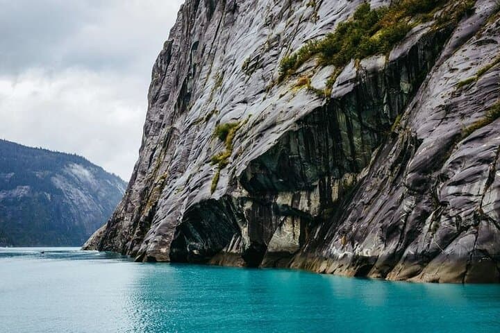 Tracy Arm Fjord Glacier Explorer: Day Cruise from Juneau photo 3