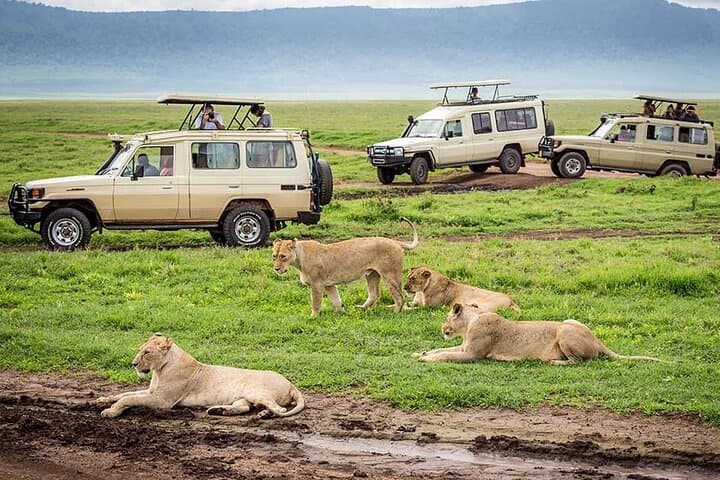 3-Day Fly-In Safari: Serengeti & Ngorongoro Private Tour from Zanzibar photo 2