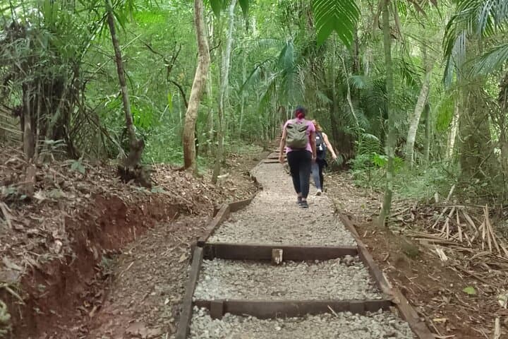 Metropolitan Natural Park Walking Tour: Panama City Wildlife & Canal Views photo 3