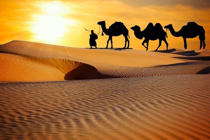 Dubai Dune Bashing and VIP Desert Camp: BBQ, Shows & Optional Quad Biking photo 2
