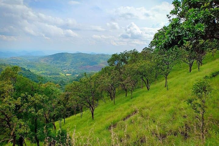 Pekoe Trail and Surfing: 4-Day Kandy to Arugam Bay Adventure photo 1