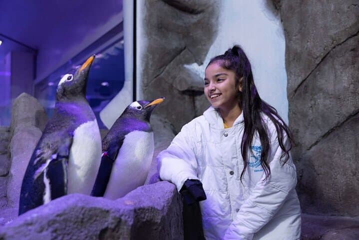 Exploring Dubai Aquarium & Underwater Zoo: A Deep Dive Inside Dubai Mall photo 5