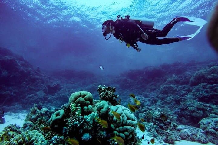 Intro Beach Dive in Sharm El Sheikh with Hotel Transfer photo 6