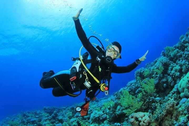 Intro Beach Dive in Sharm El Sheikh with Hotel Transfer photo 5