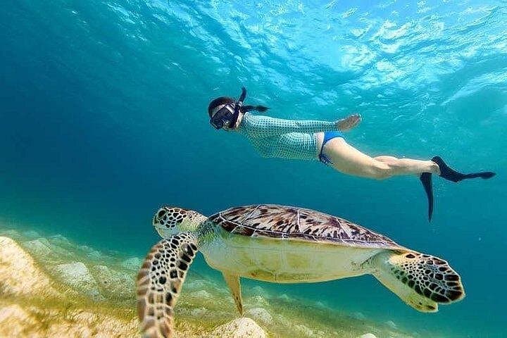 Marsa Mubarak Snorkel Cruise from Marsa Alam: Red Sea Coral & Turtle Encounters photo 2