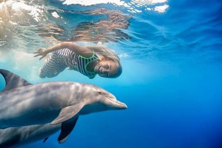 Explore Sataya Reef: Full-Day Snorkel to Dolphin House from Marsa Alam photo 5
