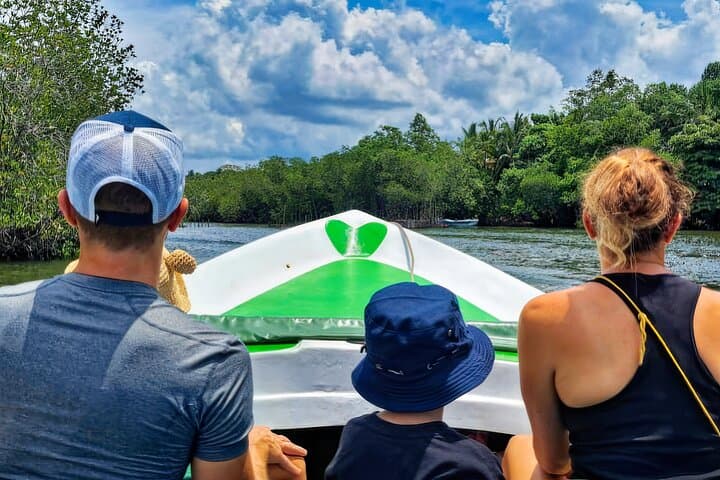 Madu River Safari from Hambantota: Mangrove Boat Tour, Monastery & Cinnamon Plantation photo 1