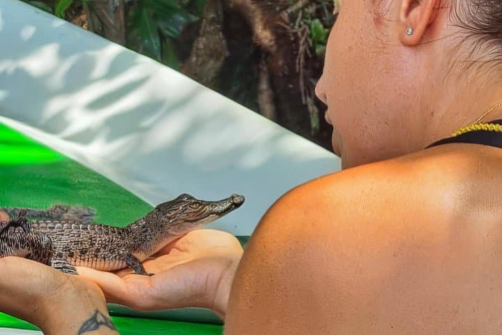 Madu River Safari from Hambantota: Mangrove Boat Tour, Monastery & Cinnamon Plantation photo 2