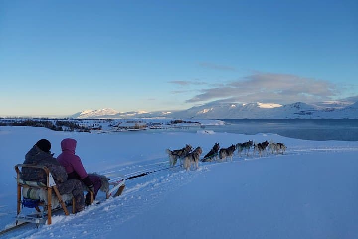 Private Dog Sledding in Akureyri: Woodland Runs and Coastal Views photo 1