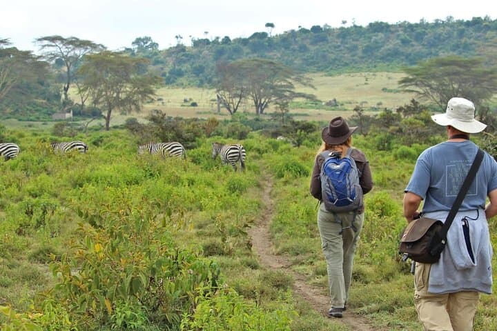 2-Day Mount Longonot & Hell's Gate Hike — Rift Valley Crater Rim, Cycling & Wildlife photo 2