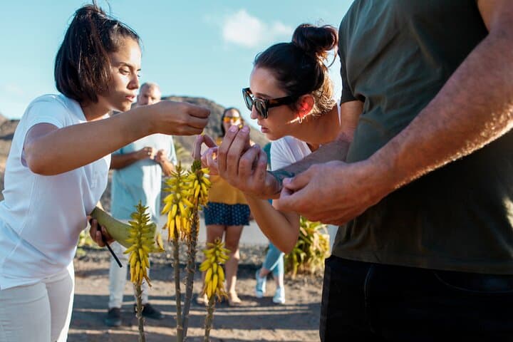 Hands-On Aloe Vera Workshop & Organic Farm Tasting in Fuerteventura photo 2