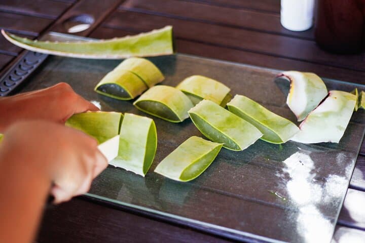 Hands-On Aloe Vera Workshop & Organic Farm Tasting in Fuerteventura photo 5