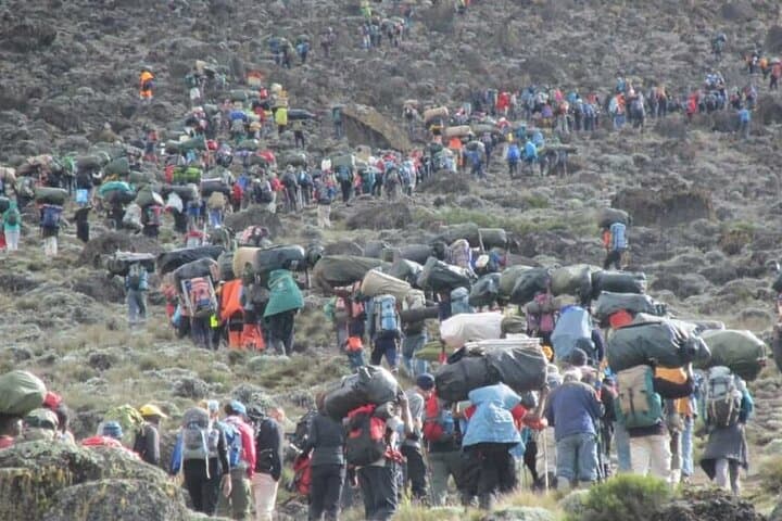 Mandara Hut Day Hike on Mount Kilimanjaro (Marangu Route) — From Arusha in One Day photo 3