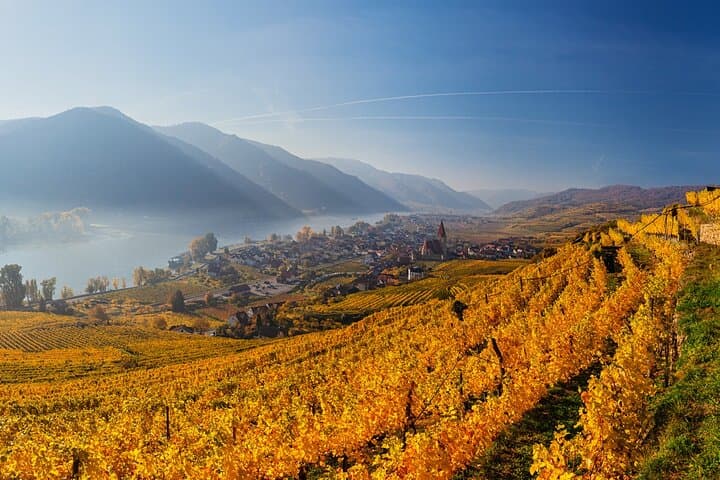 Danube Valley Delights: Private Full-Day Wachau Valley Tour from Vienna photo 2