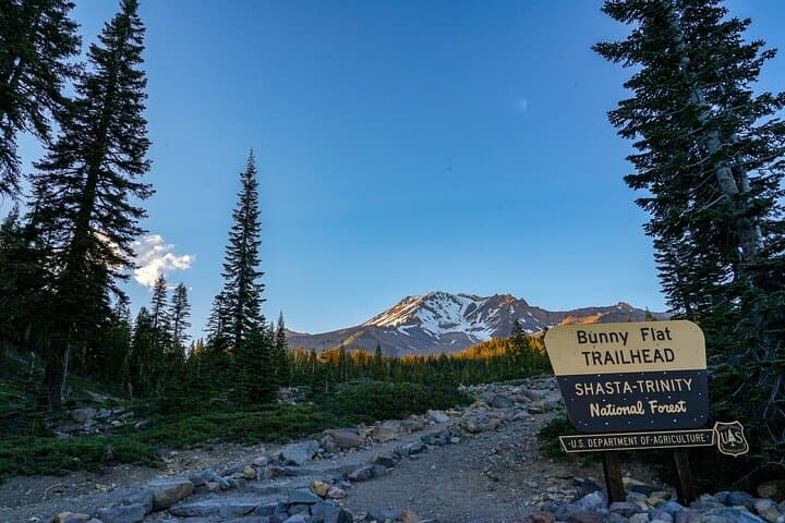 Mount Shasta Guided Tour: Headwaters, Power Spots & Native History photo 5