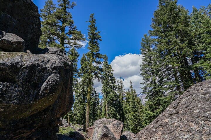 Mount Shasta Guided Tour: Headwaters, Power Spots & Native History photo 6