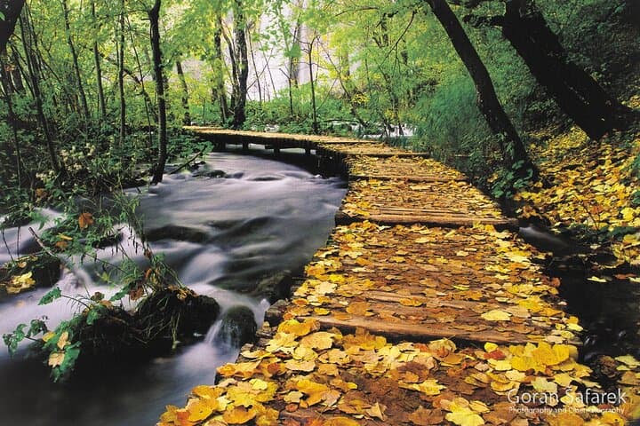 Split to Plitvice Lakes Day Transfer: Mercedes V-Class Comfort and 4-Hour Park Visit photo 4