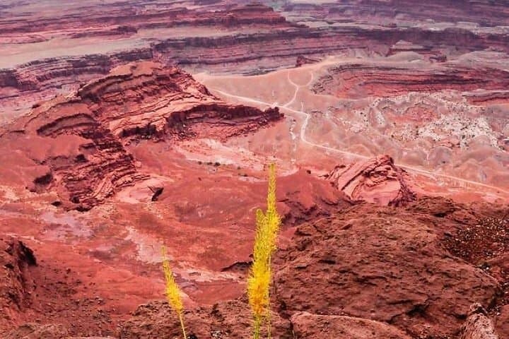 Explore Arches and Canyonlands National Parks: Utah’s 4x4 Backcountry Adventure photo 3