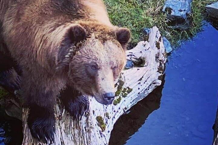 Explore Beyond the Dock: A Private Sitka Adventure through History and Wilderness photo 2