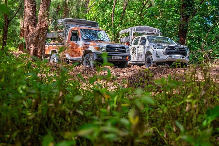 Tupuna 4x4 Safari: Half-Day Bora Bora Island Jeep Tour photo 2
