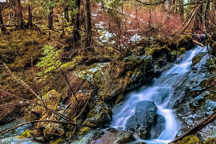 Explore Beyond the Dock: A Private Sitka Adventure through History and Wilderness photo 4