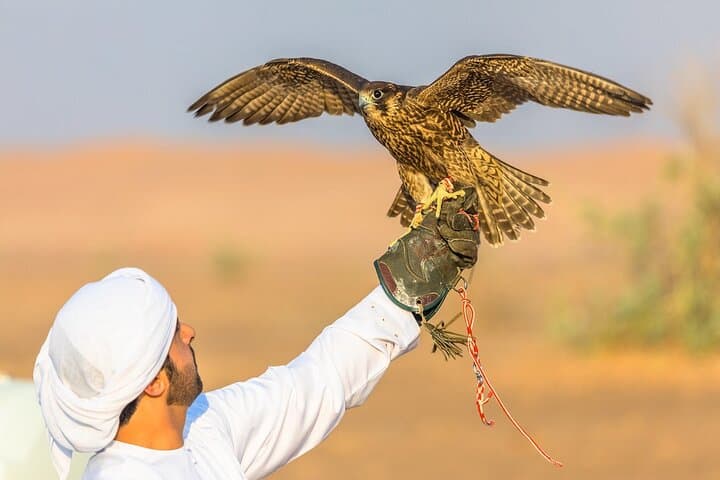 Dubai Red Dunes Safari: 4x4 Dune Bash, Camel Ride & Bedouin BBQ photo 2