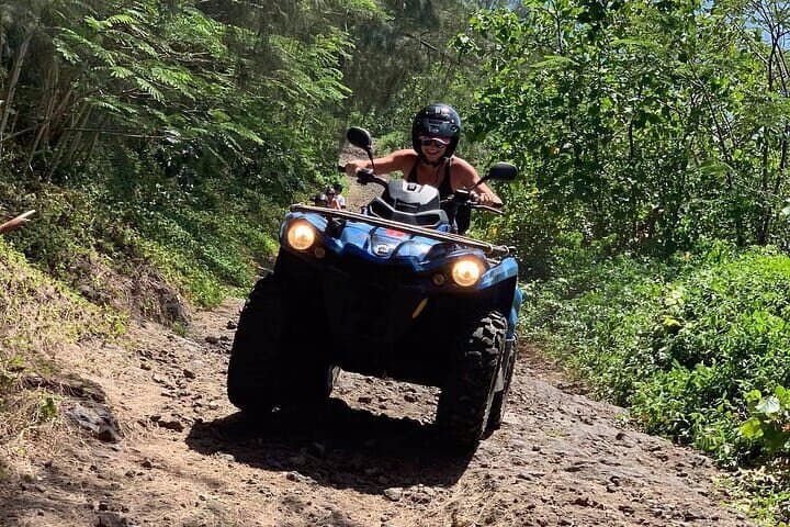Bora Bora Combo Jet Ski and ATV Quads Tour — Lagoon Circles and Summit Views photo 3