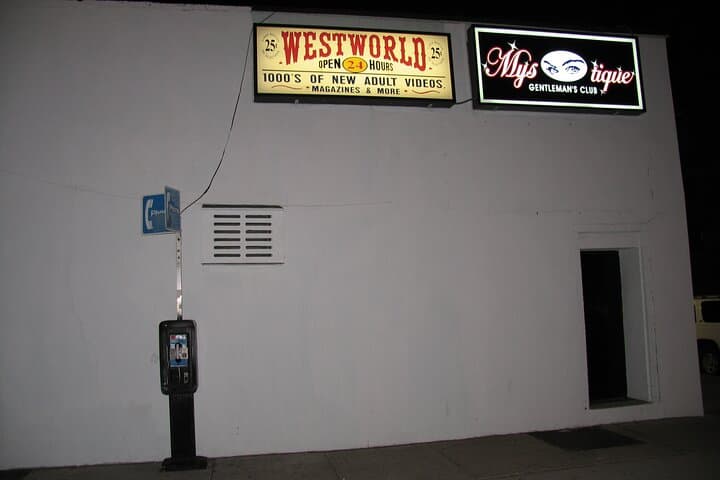 Gritty NYC True Crime Tour with a Lawyer — East Village to Greenwich Village Walk photo 4
