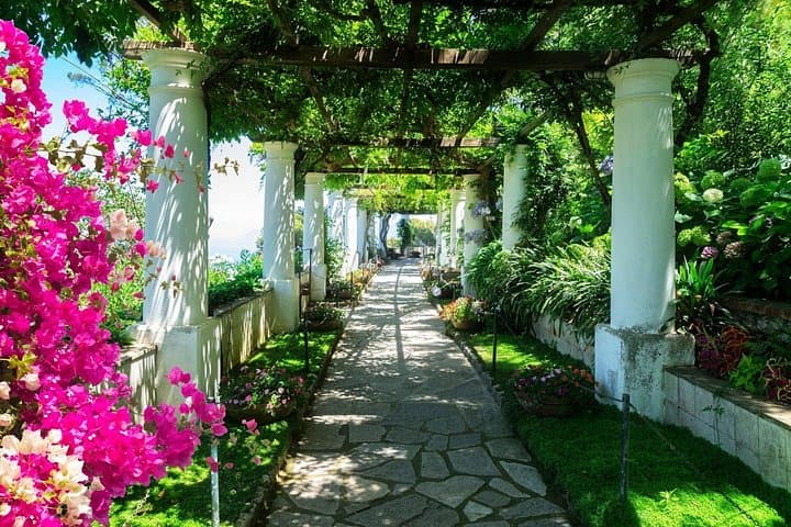 Calming Family Walking Tour in Capri — Private 2-Hour Scenic Stroll photo 5