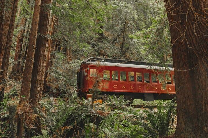 Glen Blair Bar: Skunk Train Nighttime Redwoods Bar & Live Music photo 4