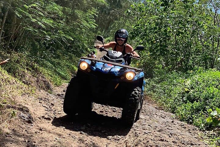 Bora Bora ATV & Snorkel Combo: Quad Tour and Shark & Ray Safari photo 4