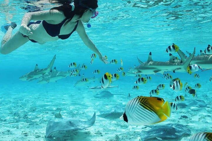 Bora Bora ATV & Snorkel Combo: Quad Tour and Shark & Ray Safari photo 3