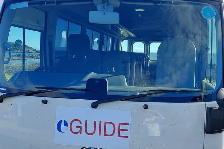 Wings Wildlife Park Shuttle — Burnie Shore Excursion to See Tasmanian Devils & Koalas photo 6