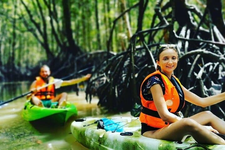 Kubang Badak Mangrove Kayaking — Langkawi Guided Kayak & Jungle Pool Swim photo 3