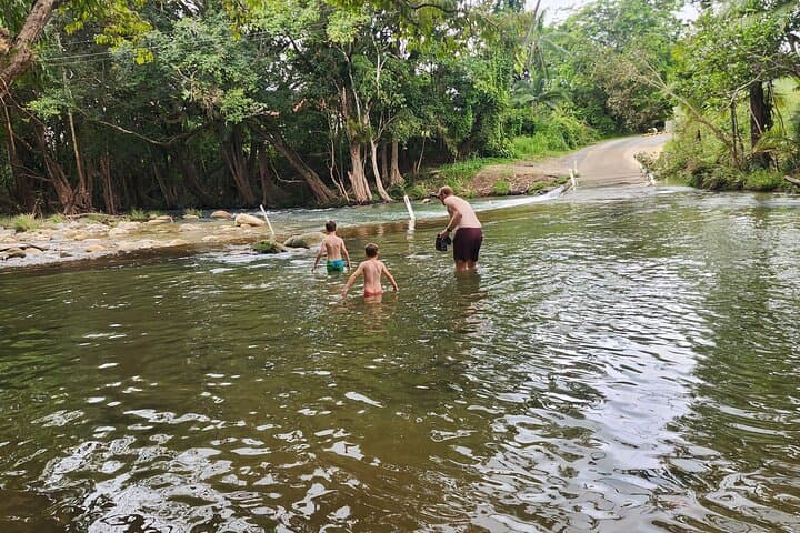 Mossman Highlights eBike Tour: Port Douglas Gorge, Winery & Chocolate Farm photo 4