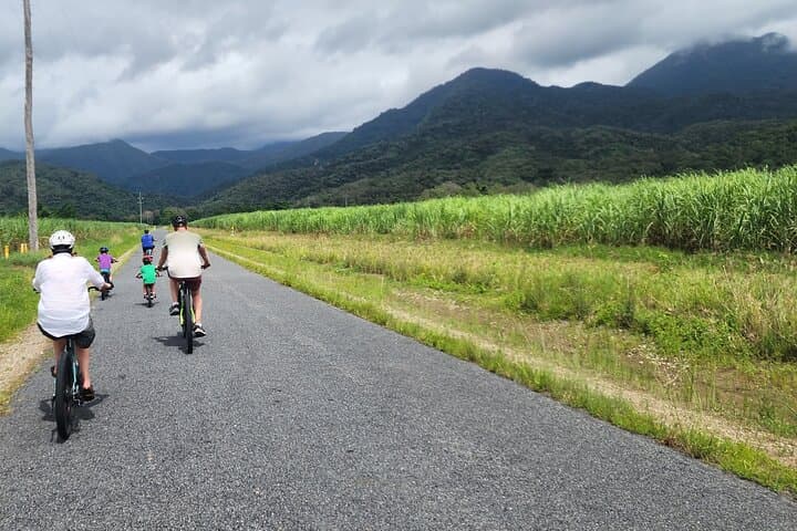 Mossman Highlights eBike Tour: Port Douglas Gorge, Winery & Chocolate Farm photo 5