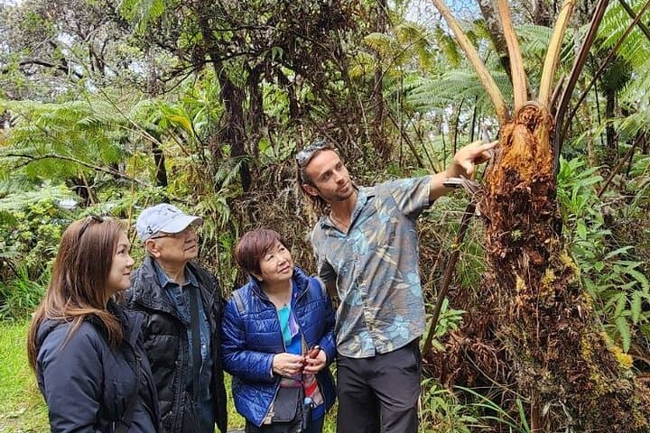 Private Big Island Tour — Coffee Farms, Volcanoes, Black Sand Beaches & Waterfalls photo 6