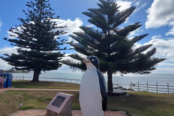 Discovering Tasmania: Burnie Shore Excursion — Emu Valley Gardens & Wings Wildlife Park Day Trip photo 4