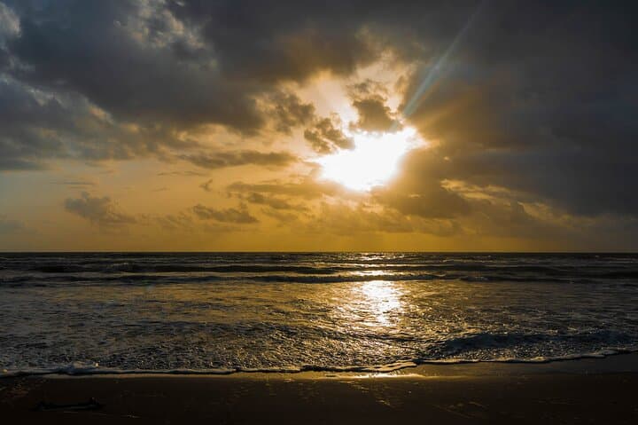 Tortuguero Three-Day Turtle Nesting, Canoe & Night Jungle Tour photo 5