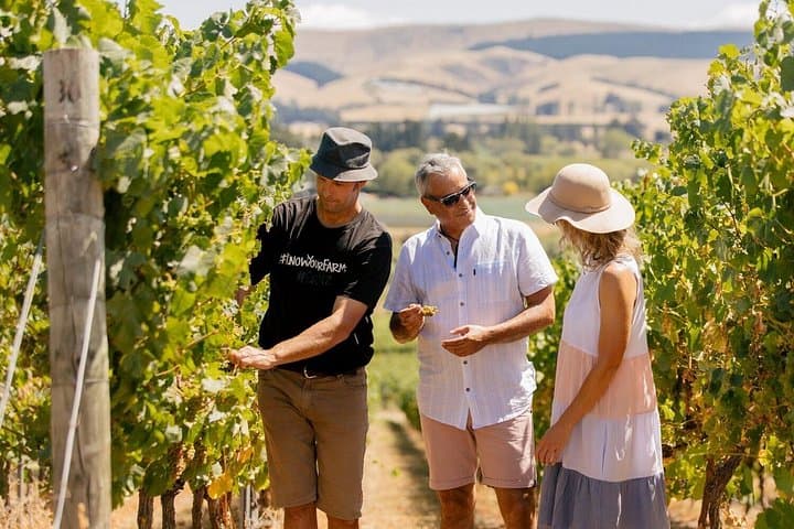 Waipara Valley Wine & Hanmer Springs Luxury Day Tour from Christchurch photo 4