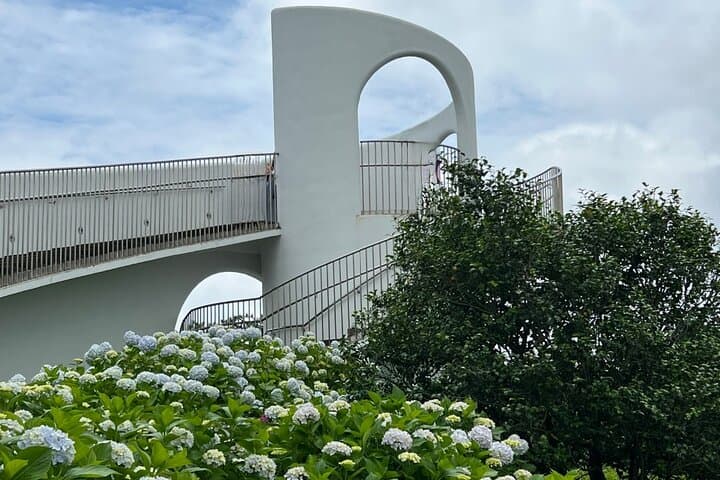 Jeju West & South Hydrangea Festival Tour — Hyeopjae, Hallim Park & O'Sulloc photo 4