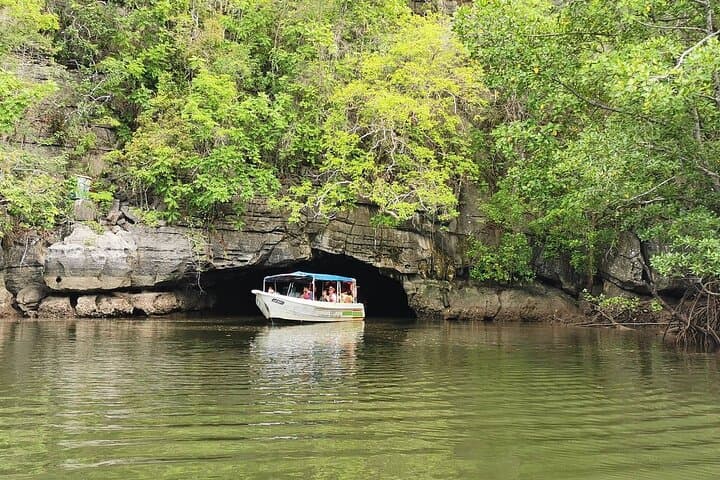 Exploring Langkawi's Kilim Geopark: Mangrove Boat Tour, Eagles & Bat Caves photo 6
