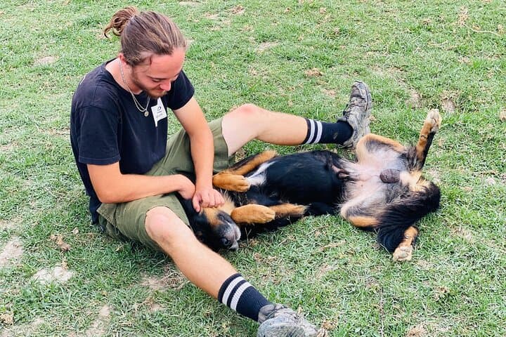 Kathmandu Animal Sanctuary Day Visit — Hands-On Rescue Experience photo 5