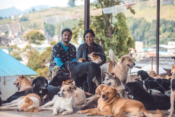 Kathmandu Animal Sanctuary Day Visit — Hands-On Rescue Experience photo 6
