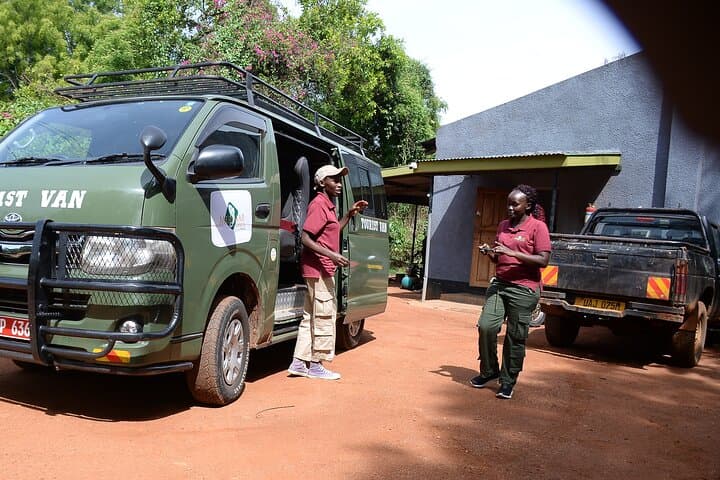 Bwindi Gorilla Trekking: 3-Day Mountain Gorilla Safari from Kampala photo 4