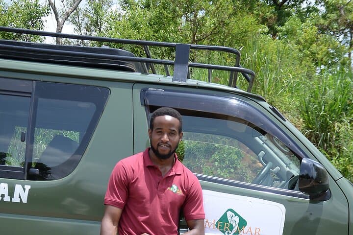 Bwindi Gorilla Trekking: 3-Day Mountain Gorilla Safari from Kampala photo 6