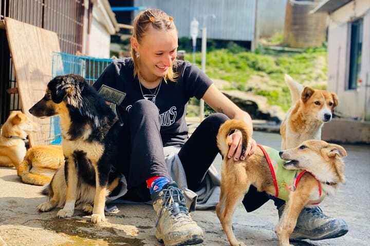 Kathmandu Animal Sanctuary Day Visit — Hands-On Rescue Experience
