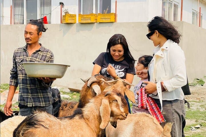 Kathmandu Animal Sanctuary Day Visit — Hands-On Rescue Experience photo 2