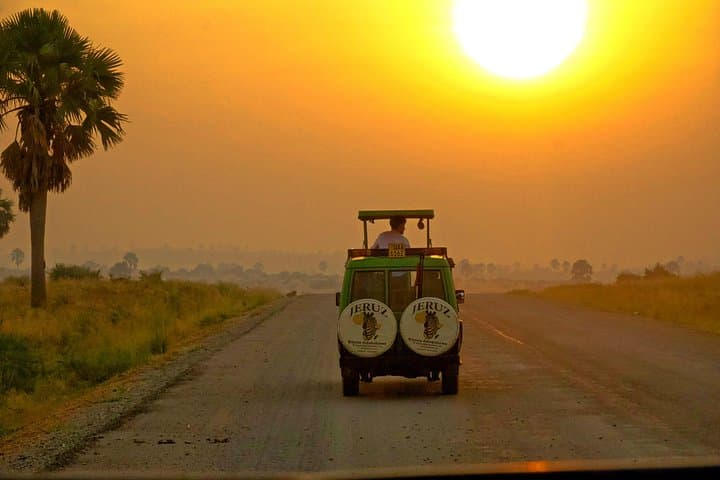 7-Day Uganda Safari: Queen Elizabeth, Kibale Chimp Trek & Murchison Falls Rhino Trekking